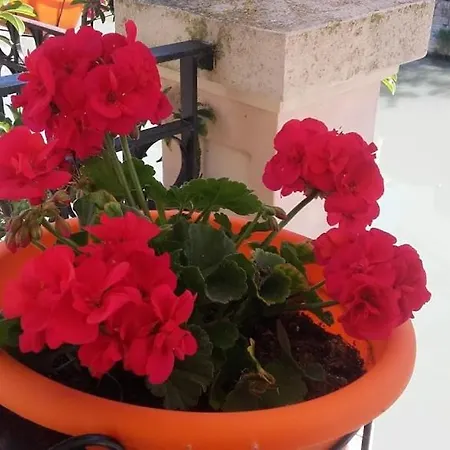 別荘 La Maison De La Riviere