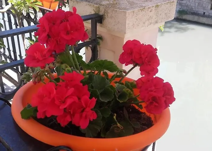 Feriehus La Maison De La Riviere